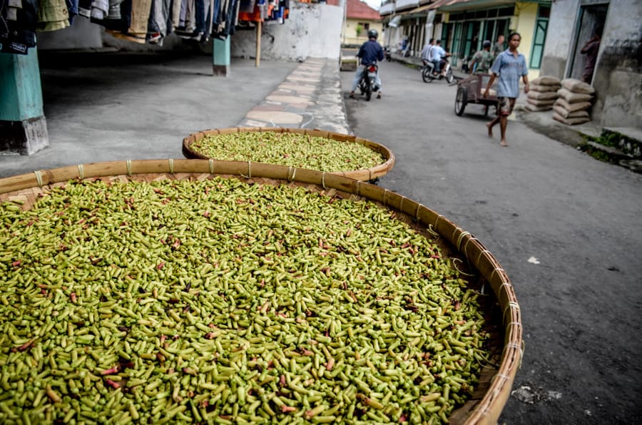 Cloves drying on the streets of Bandaneira, Maluku province,Indonesia