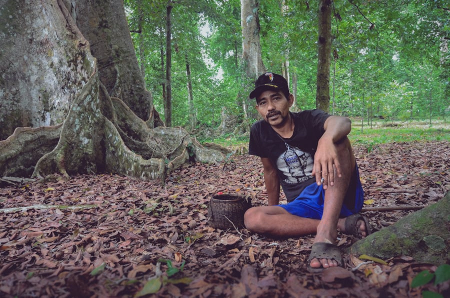 A spice farmer in the Banda Islands