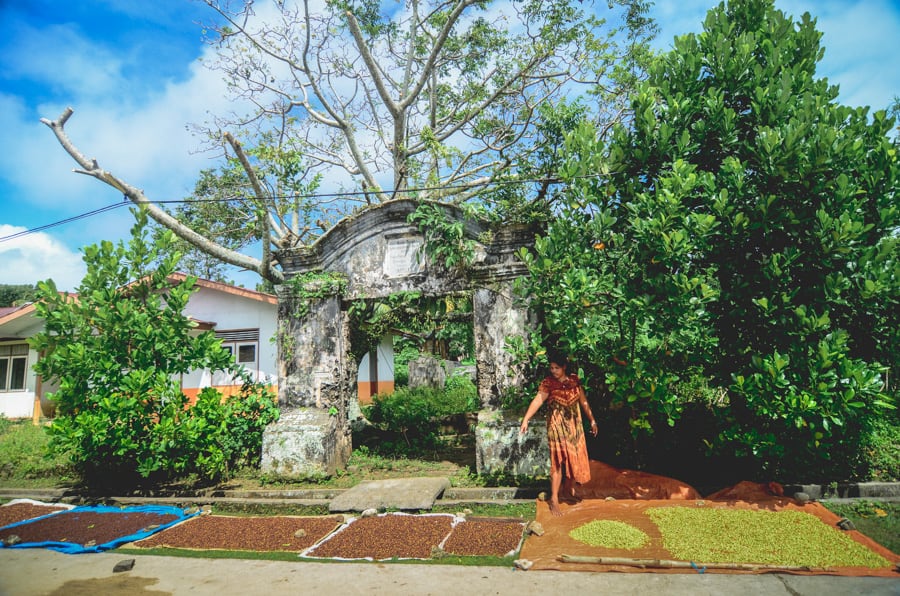 Woman drying cloves on Pulau Ai