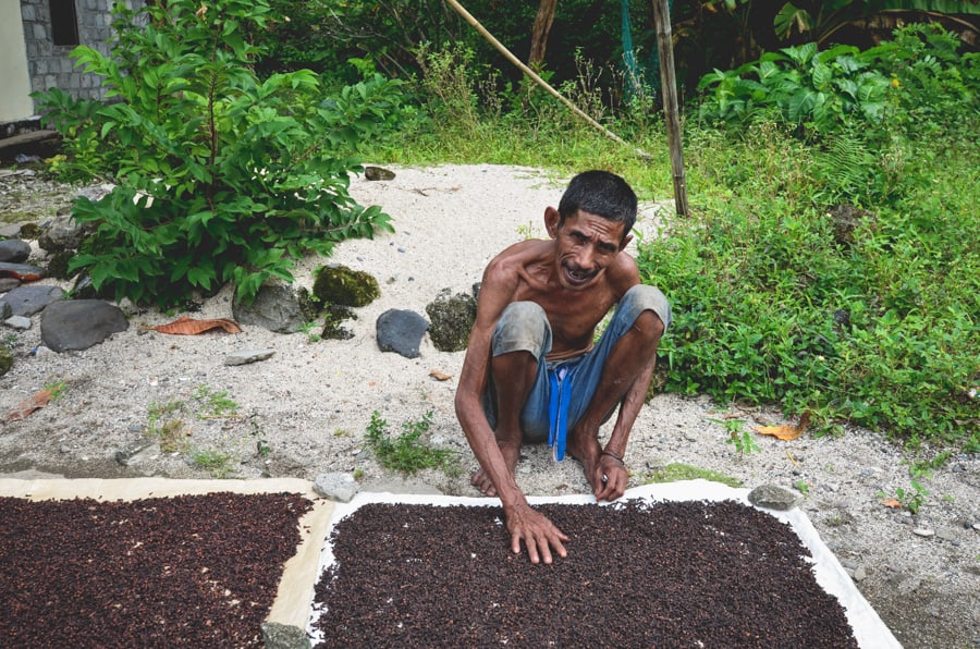 Man drying cloves in the Spice islands, Maluku, Indonesia