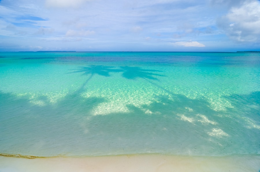 Beach with crystal clear water and white sand and palm trees on the Kei islands in Maluku