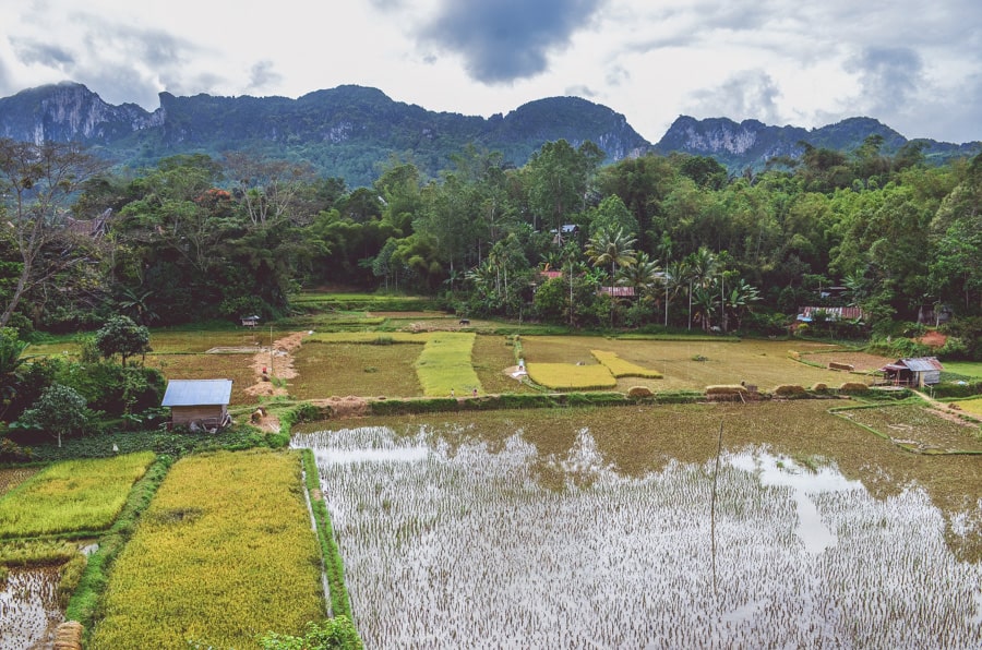 Rice paddies and mountains in Tana Toraja