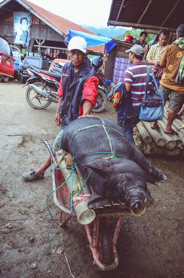 Tana Toraja Market