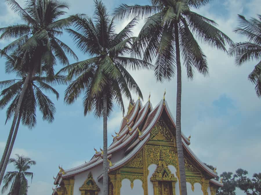 A temple in Luang Prabang under palm trees