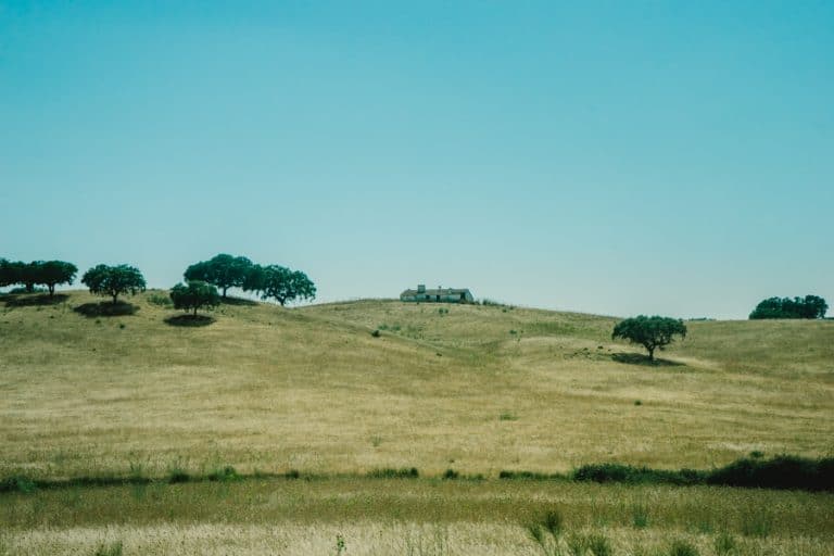 Sevile to Evora by bus