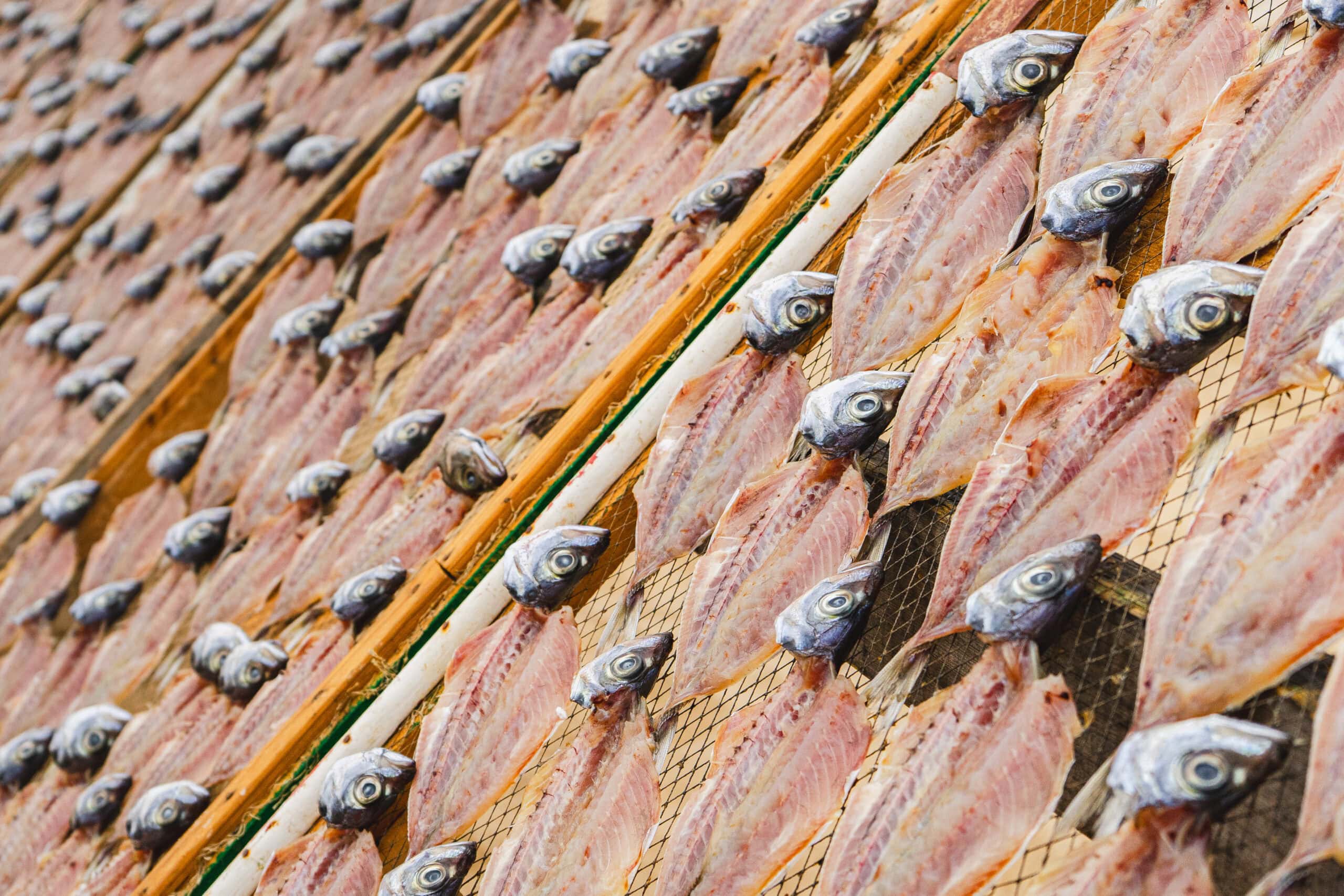 Racks of fish drying in the sun on Nazare Beach