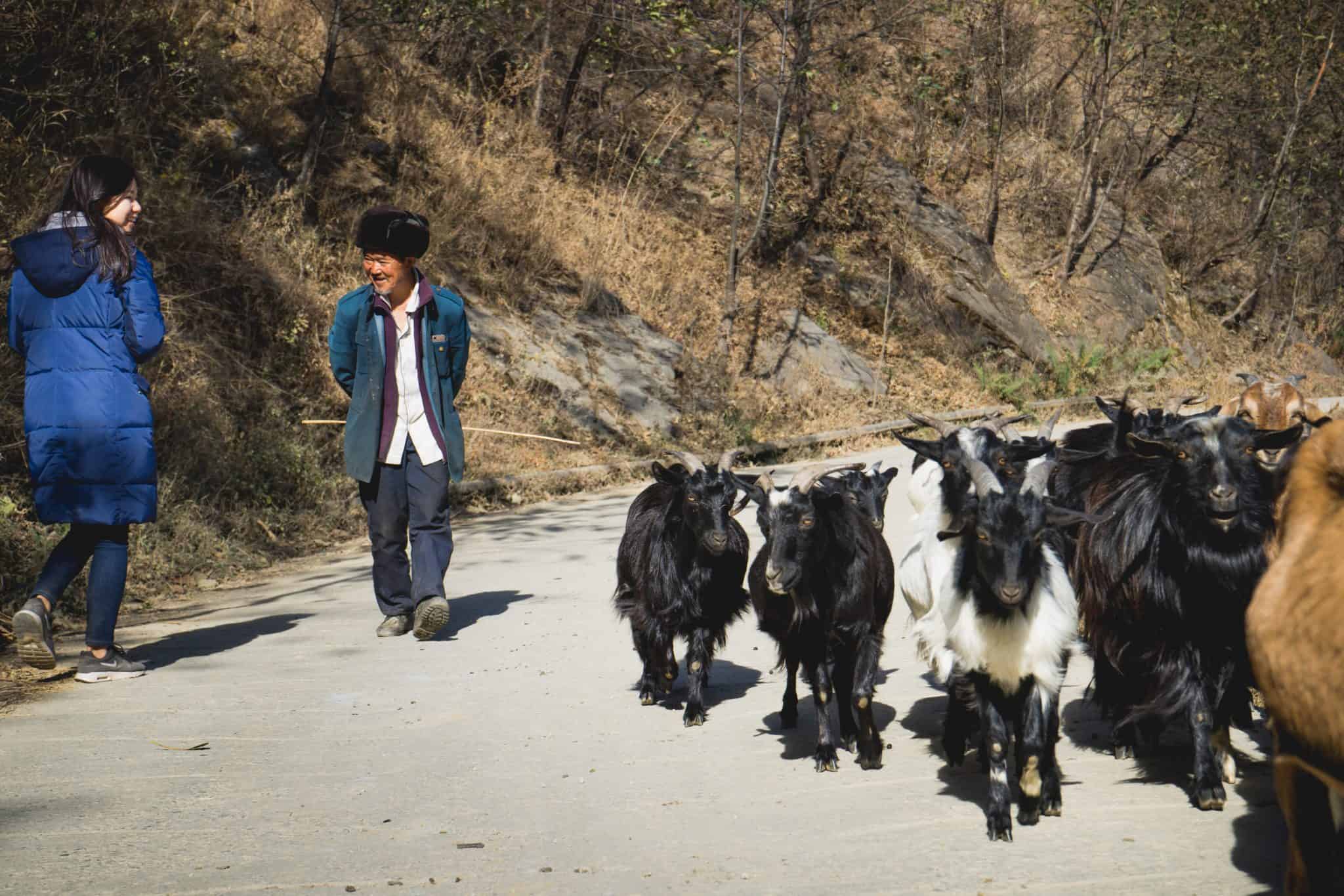 Tiger Leaping Gorge Trek