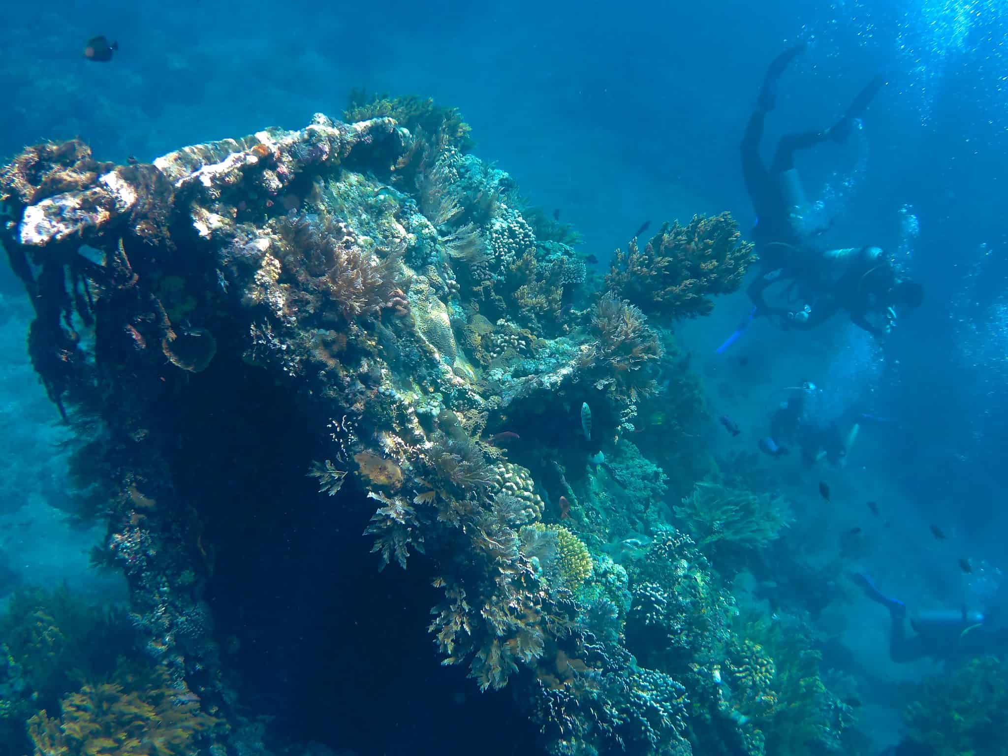 Japanese shipwreck snorkeling