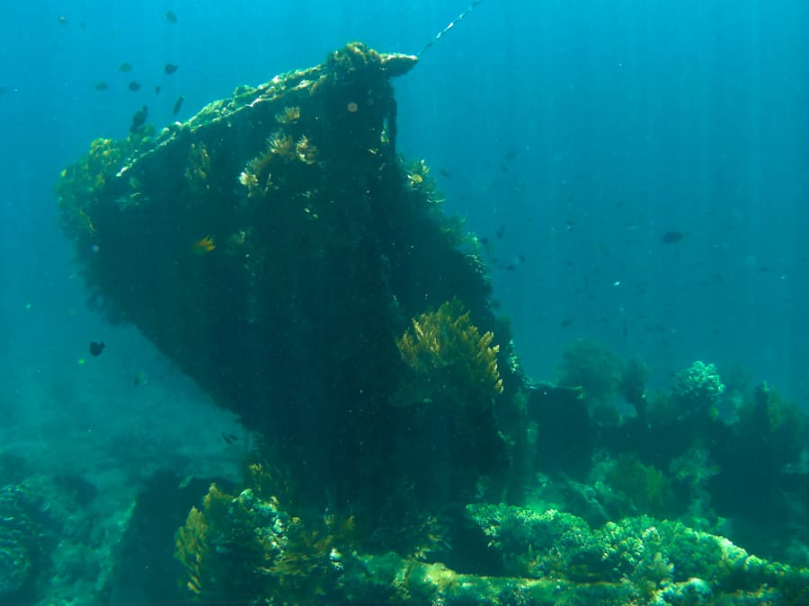 Japanese shipwreck snorkeling