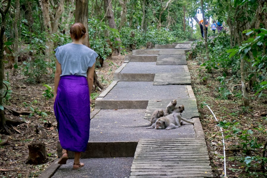 Monkeys at Uluwatu temple