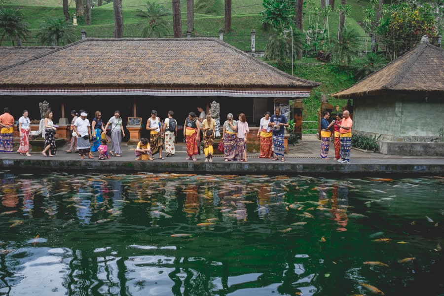 Koi pond at Tirta Empul