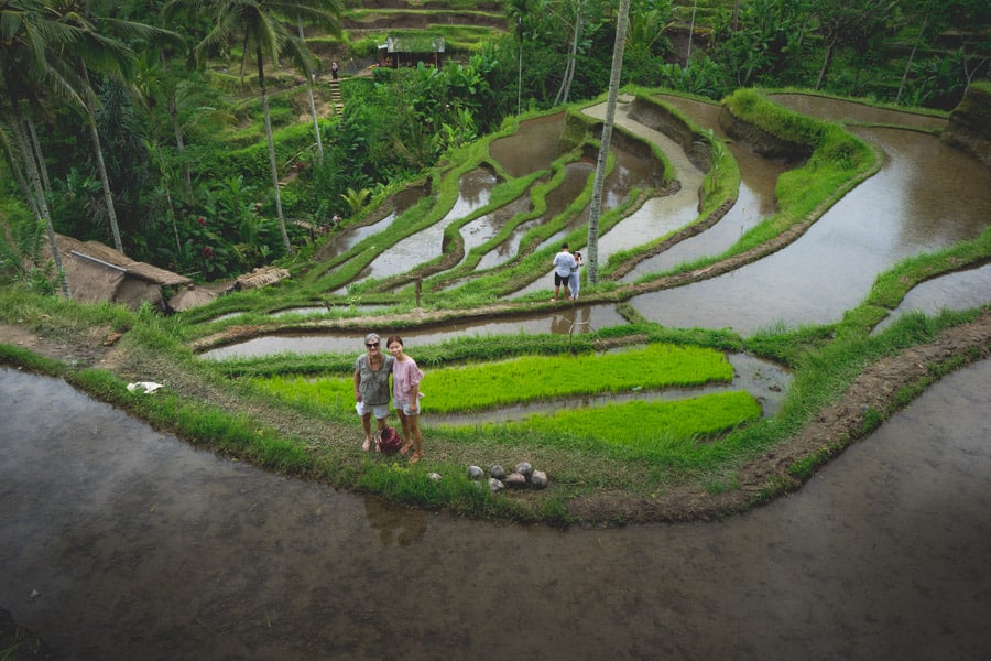 Tegalalang rice terraces