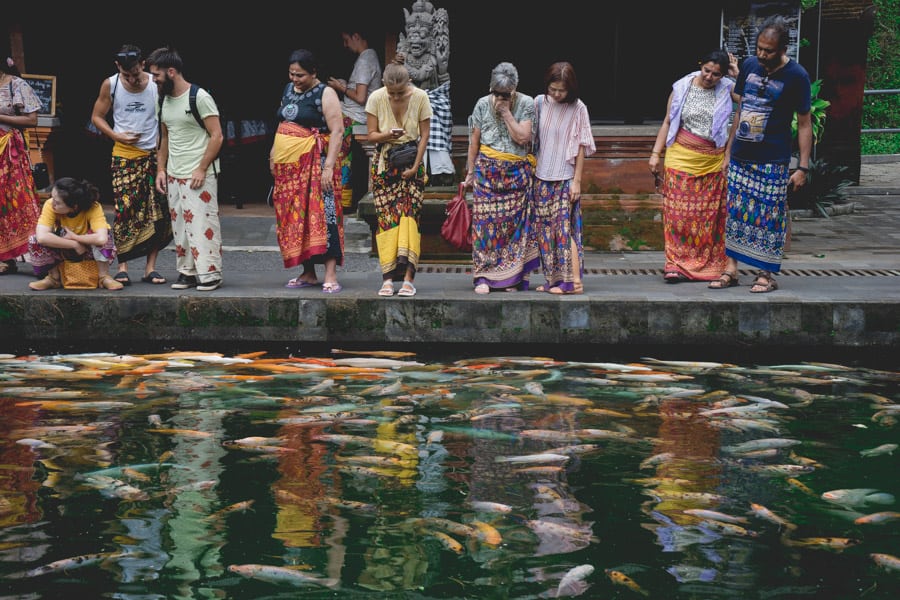Fish pond at Tirta Empul temple, Bali