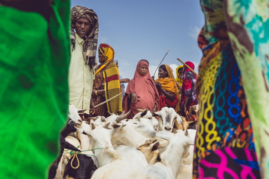 Somali tribes people at the Babile Camel market