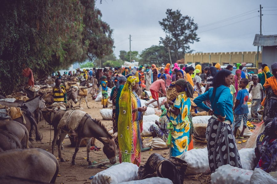 People and donkeys in the Oromo market 