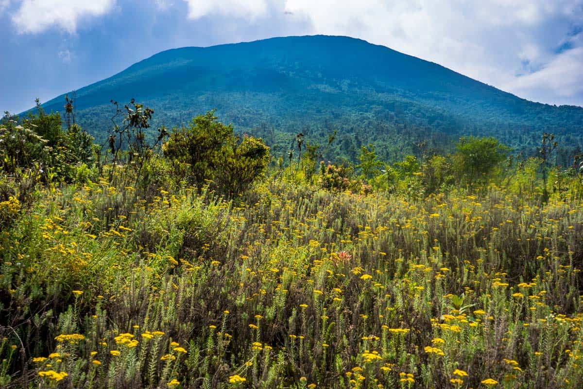 Hiking up Mount Nyiragongo, DRC