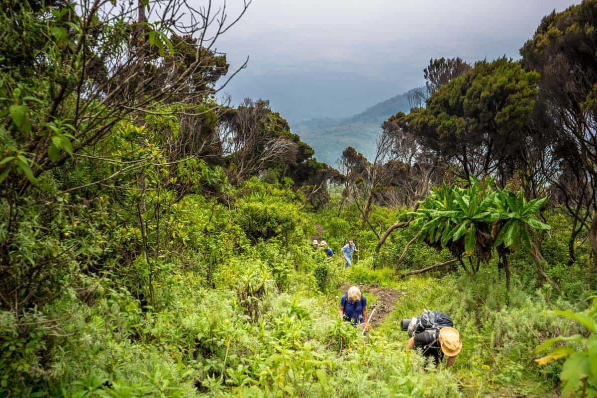 Hiking up Mount Nyiragongo, DRC