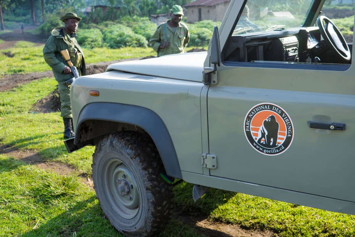 Gorilla trekking in Virunga National park