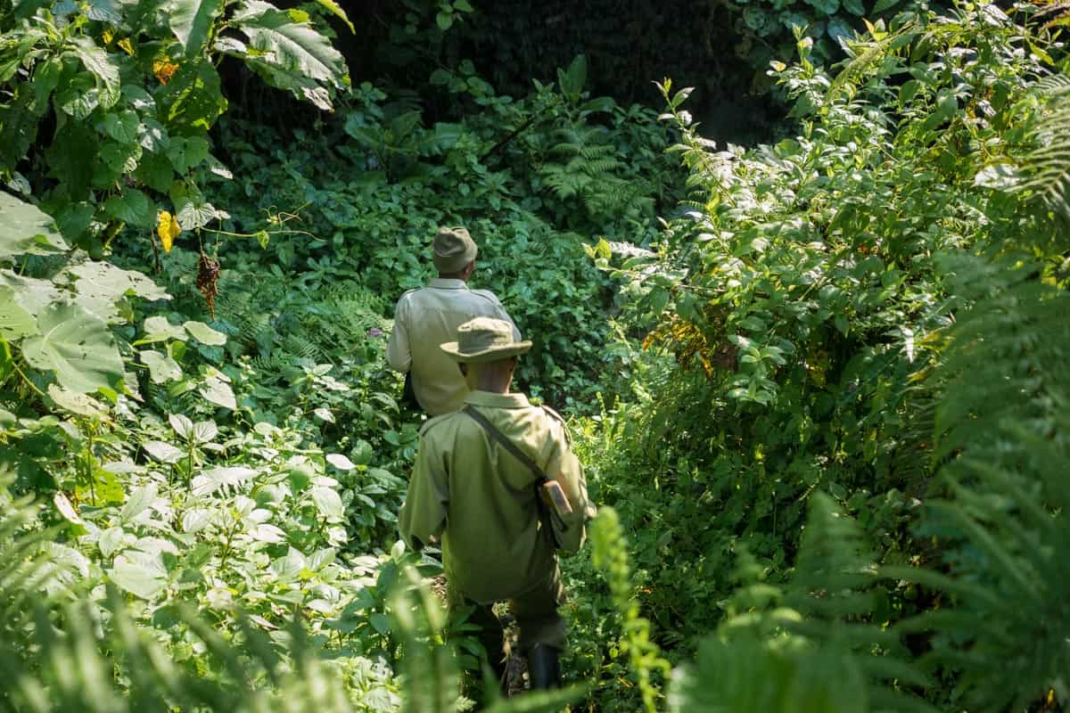 Virunga National Park, DRC