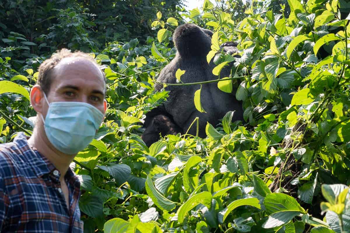Gorilla trekking in the DRC