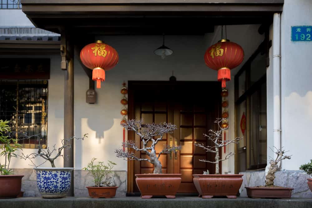 Bonsai trees and red lanterns in Longjing village