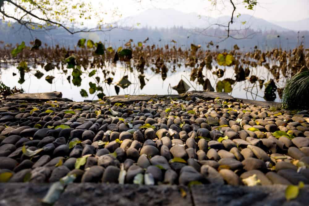 Pebbled path on Su Causeway