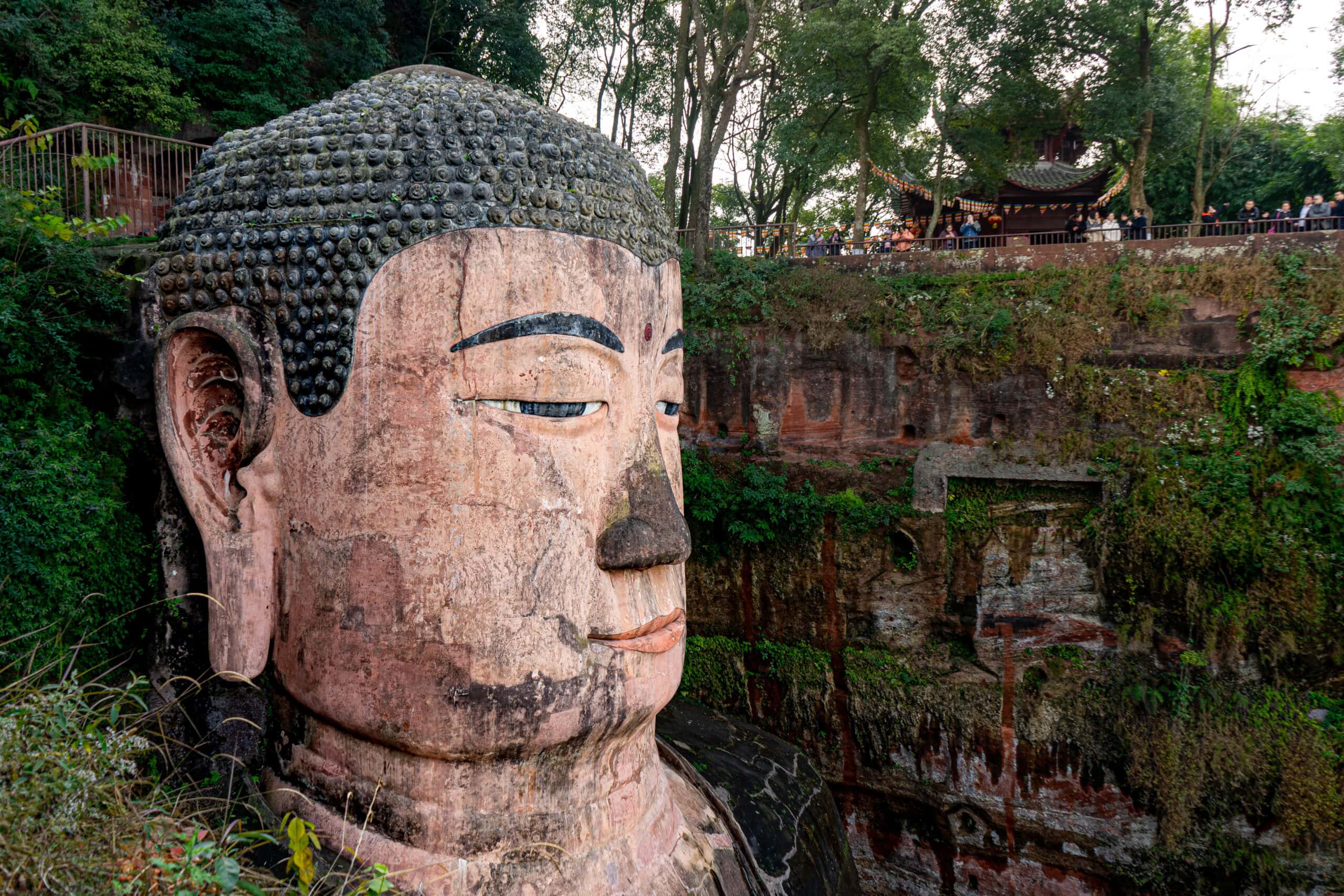 The head of the Leshan Buddha. It's enormous, dwarfing people and a pagoda behind it. The Buddha of Leshan is a very popular day trip from Chengdu