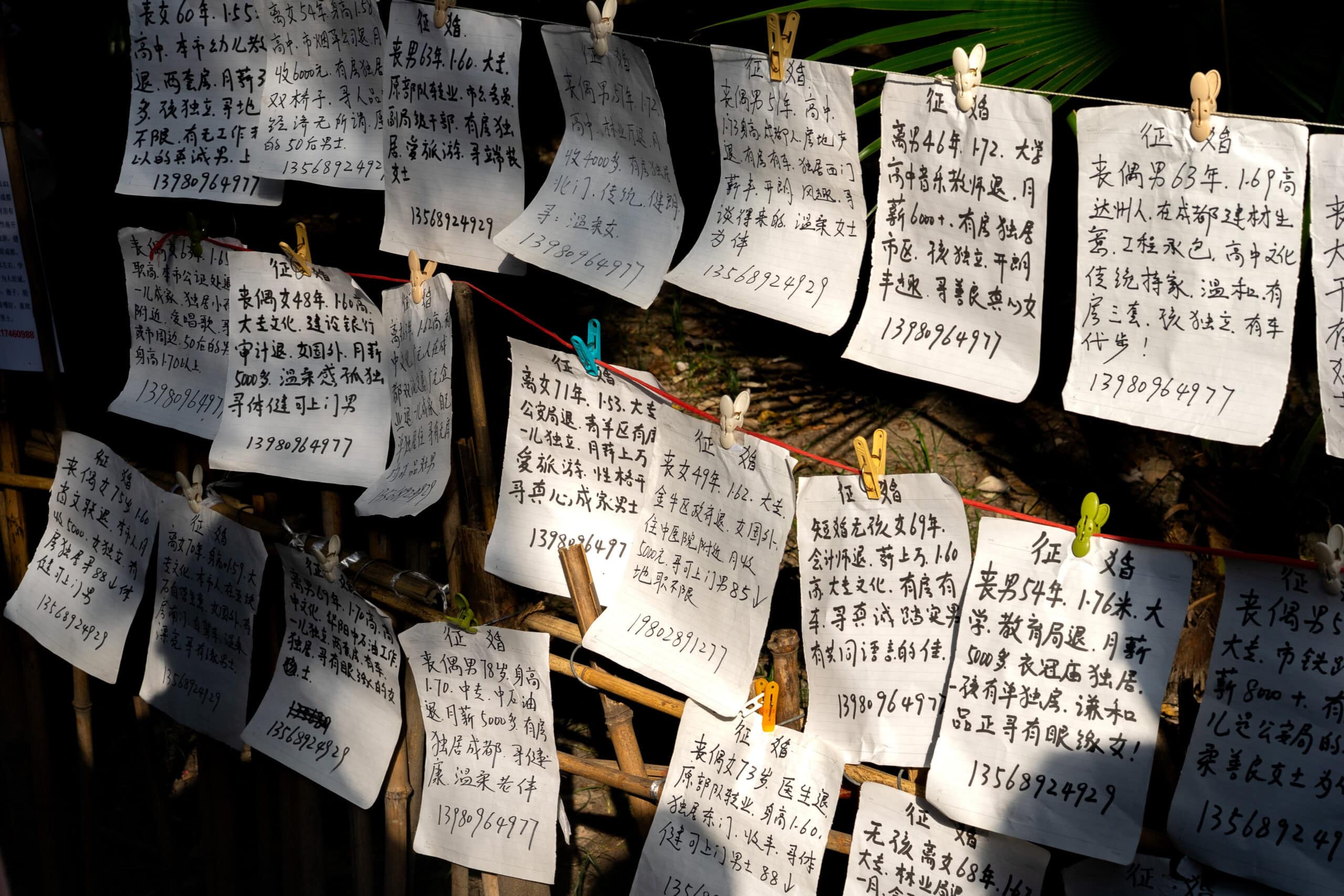 The Marriage market in People's Park is a unique, local Chengdu attraction. Here you can see many handwritten notes describing a single person's details and cgaracter traits with their phone numbers