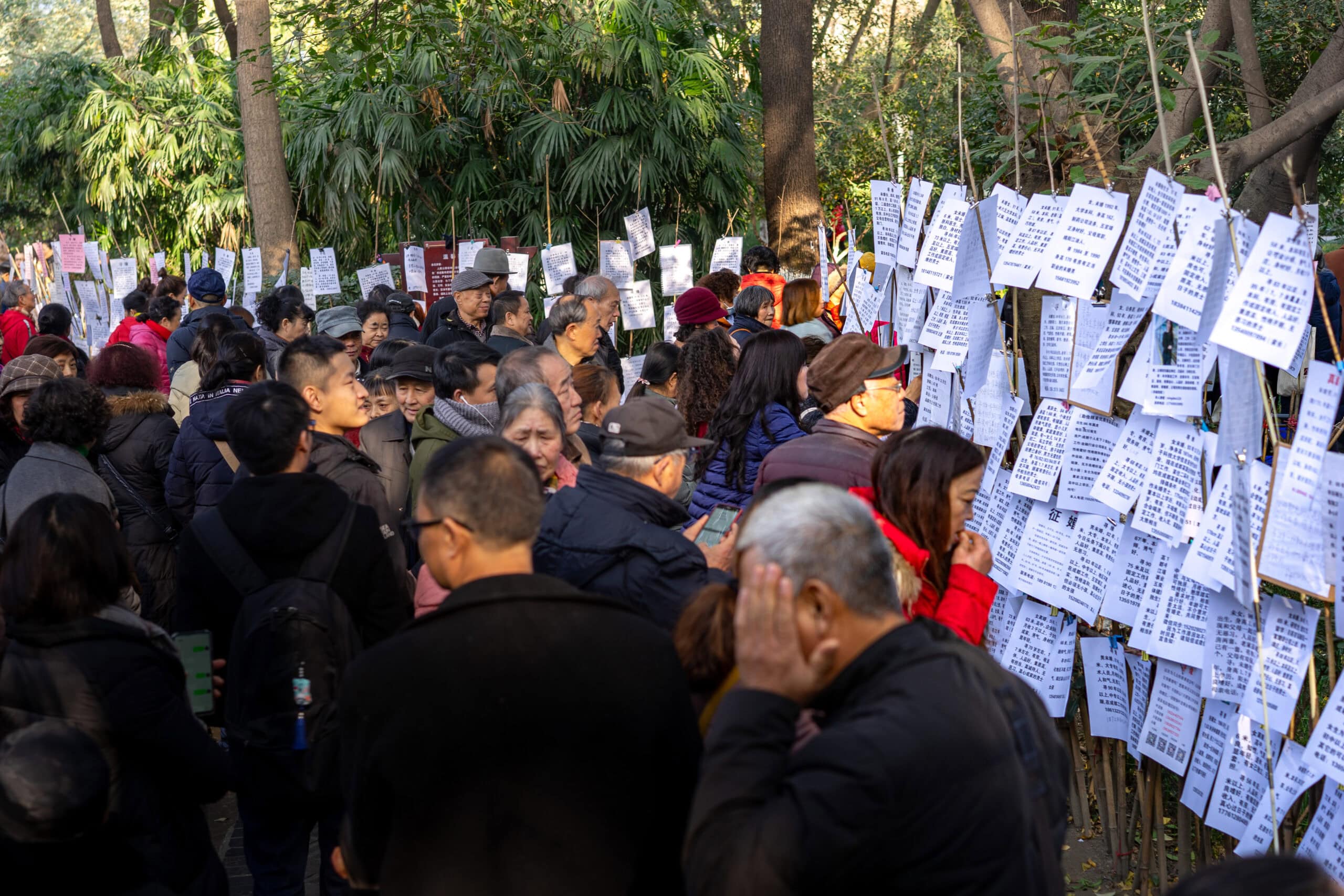 A throng of people reading personal adds at the Marriage market in Chengdu