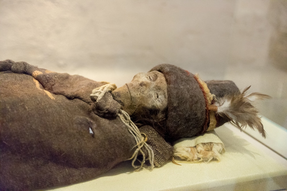 Tarim Basin Mummy