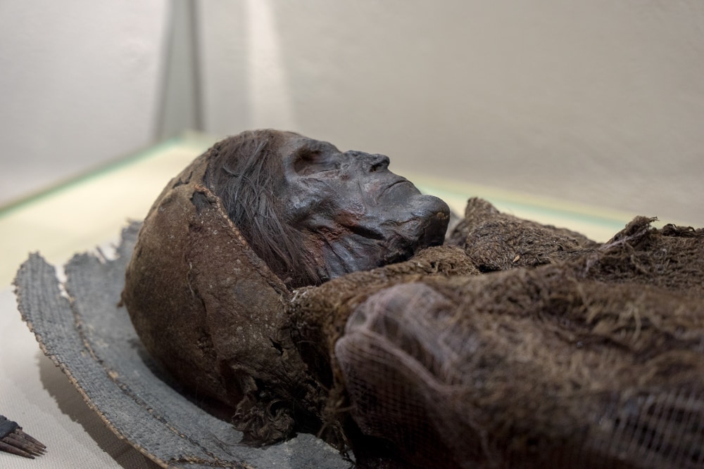 A Tarim Basin mummy called Beauty of Loulan in Urumqi, China