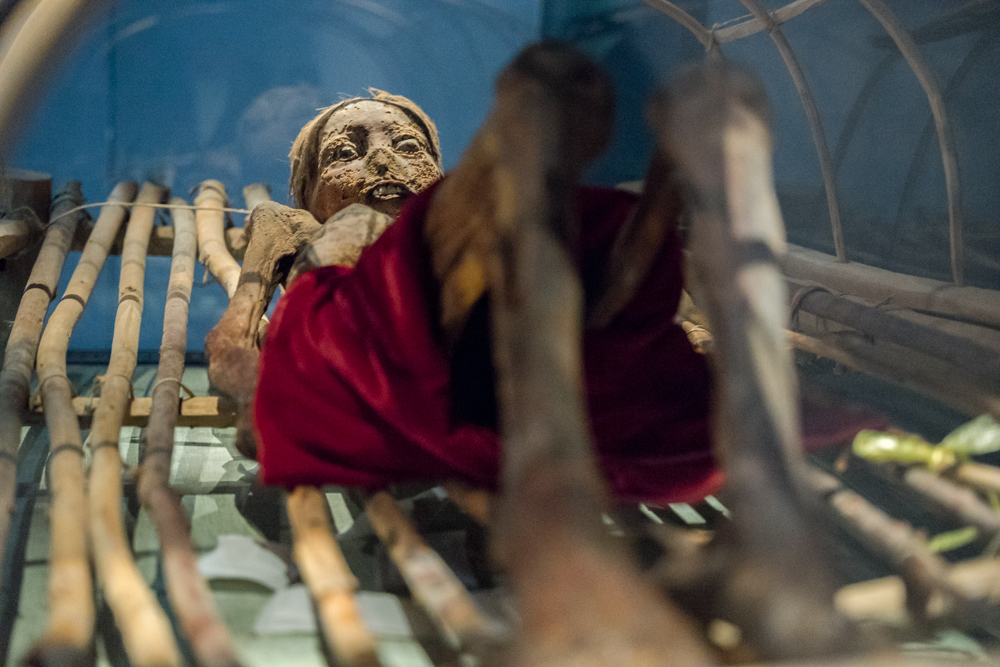 Tarim basin mummy in the Turpan Museum