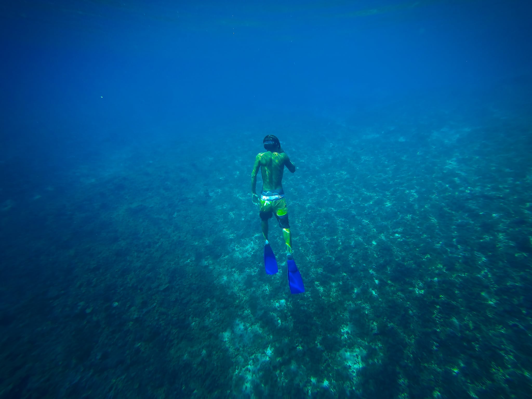 Man snorkelling in the Gili islands