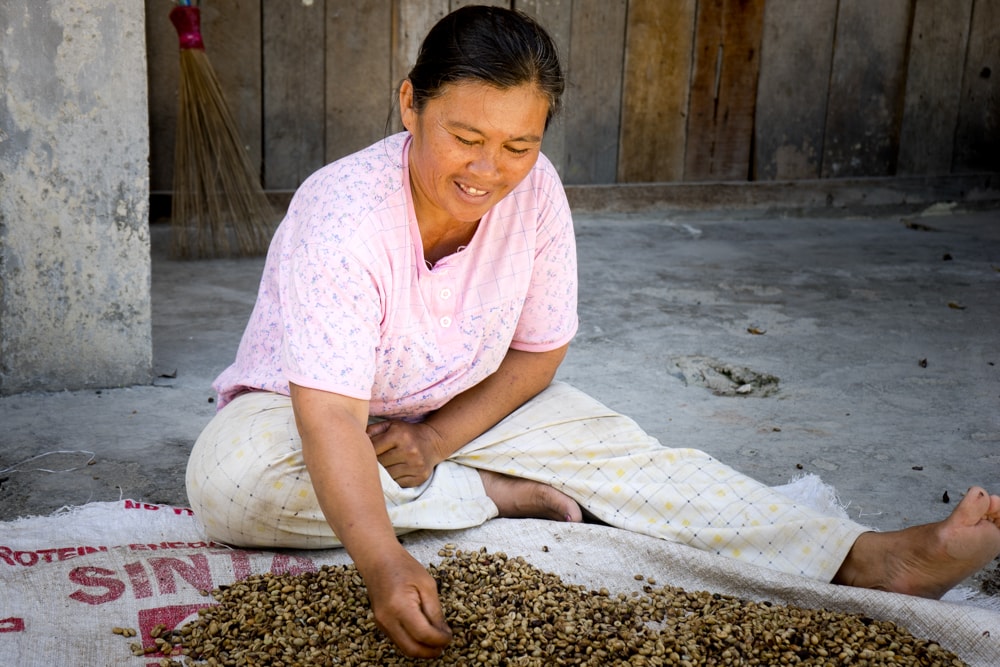 A woman sorting coffee beans on Samosir Island in Sumatra