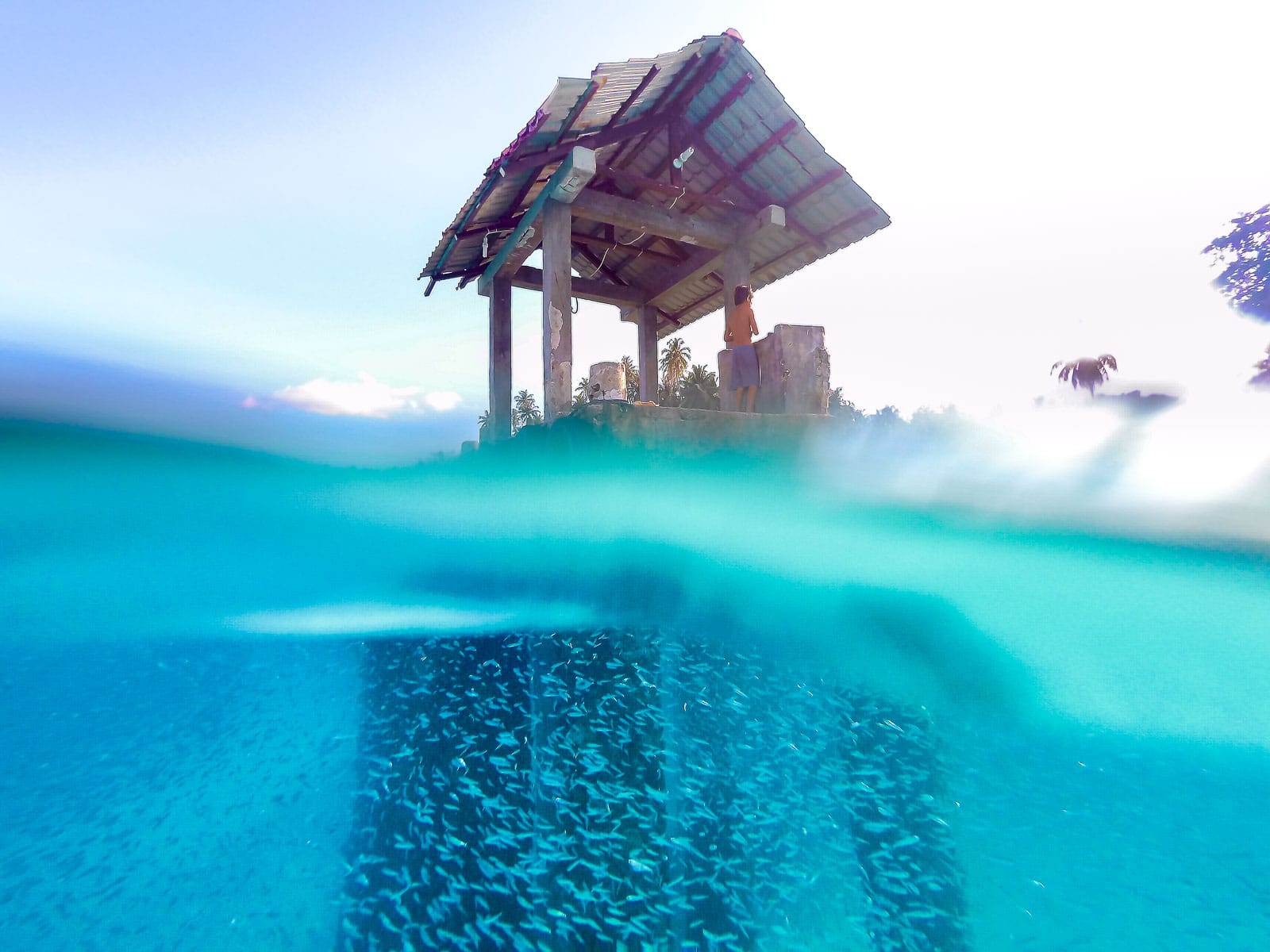 Over and under pic showing schools of tiny fish and a boy on a pier in front of Puri Asu resort in the Hinako Islands