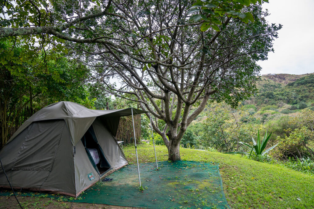 Glamping tent under a tree at Amapondo Backpackers in Port St Johns on South Africa's Wild coast