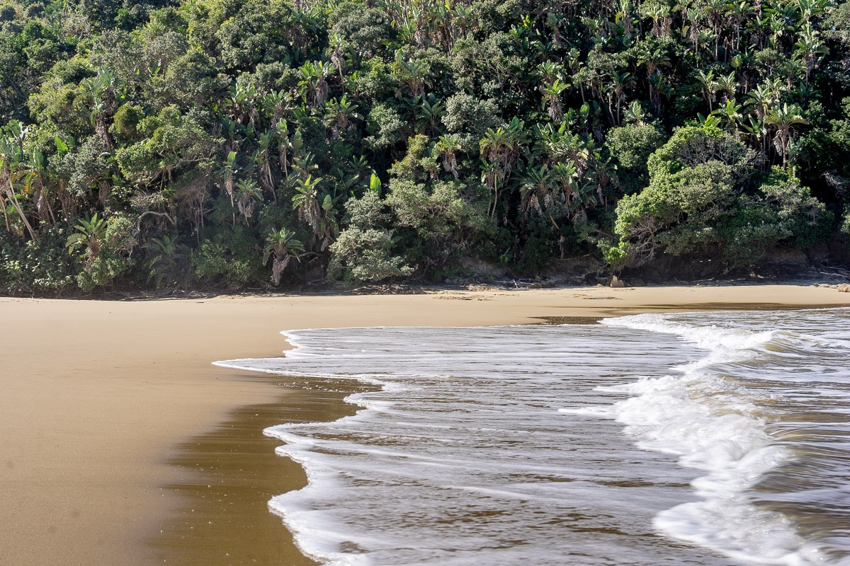 Beach in the Hluleka Nature reserve, Wild Coast Hike, Eastern Cape