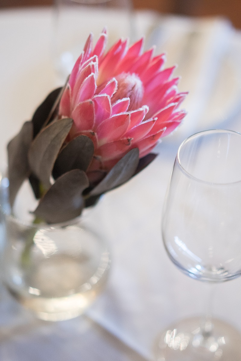 Protea on a table of Jonkershuis Restaurant at Groot Constantia Wine Estate