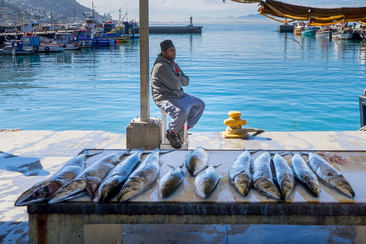 snoek for sale in Kalk Bay harbour
