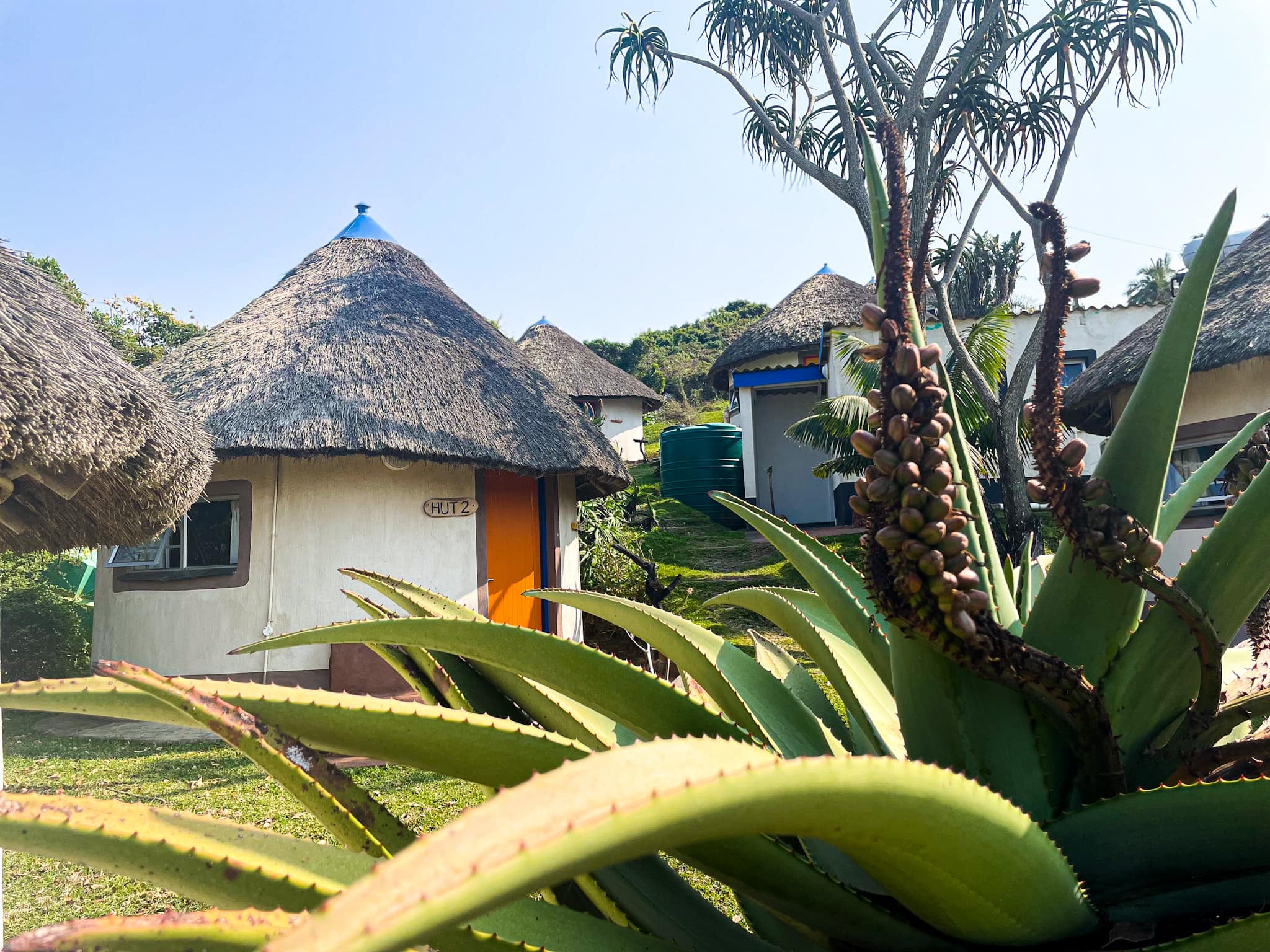 Rondavel at Coffee Shack Backpackers in Coffee Bay