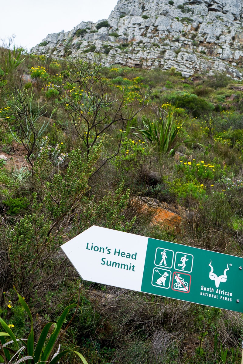 A trail marker on the Lions Head hike in Cape Town. It shows hiking, trail running and dogs on leashes are allowed, but not mountain biking