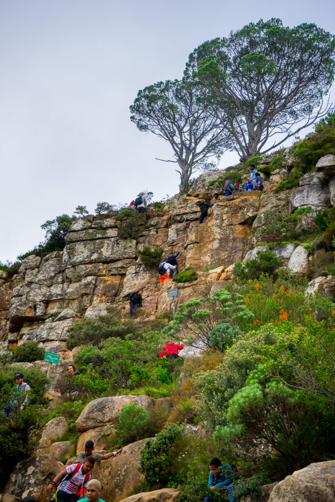People climbing up the staples and chains on the Lion's Head Hike