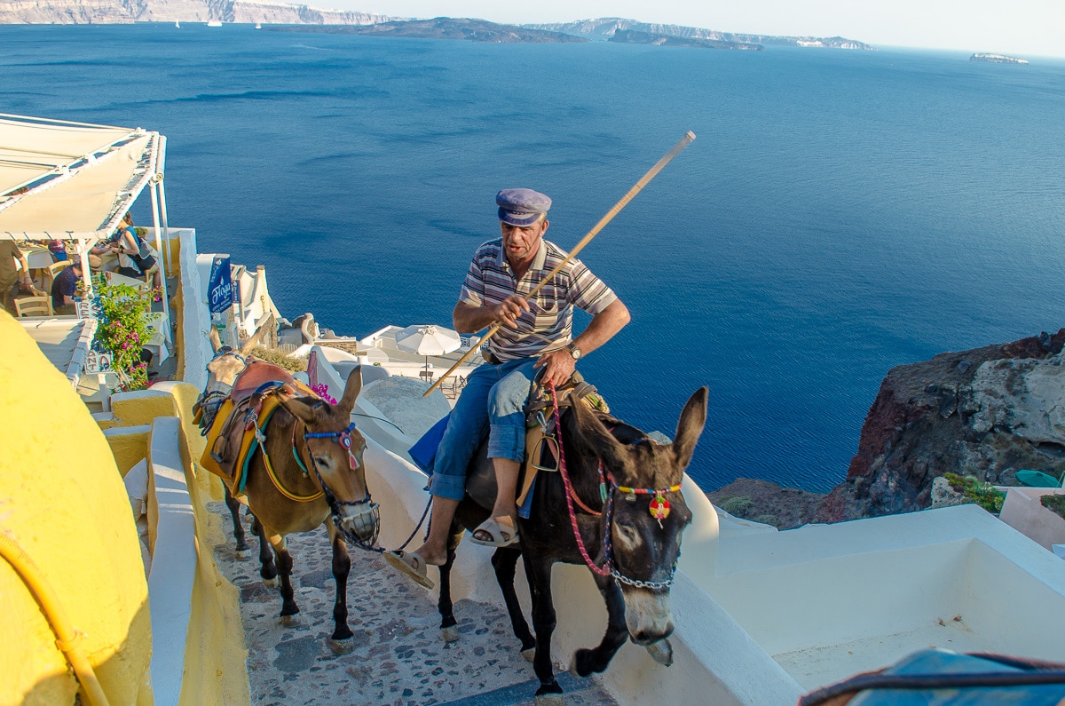 A man riding a donkey up the steps in Santorini
