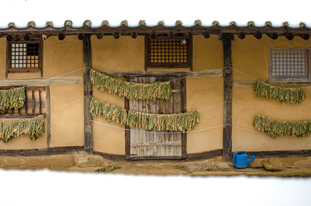 vegetables drying outside a mud house in Korea