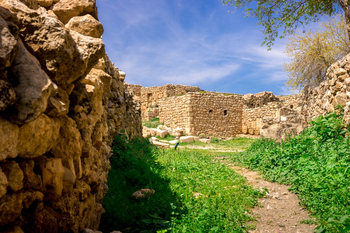 Houses in the village of Oğuz is built on top of and between the Dara ruins 
