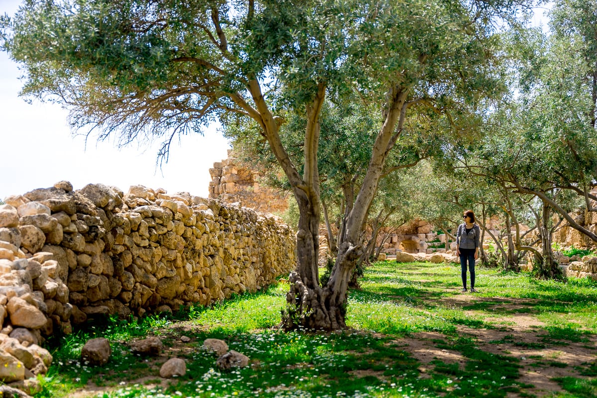 Visiting Dara ancient city from Mardin