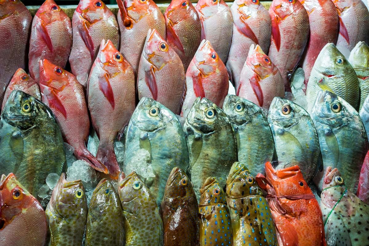 Fish market in Labuan Bajo