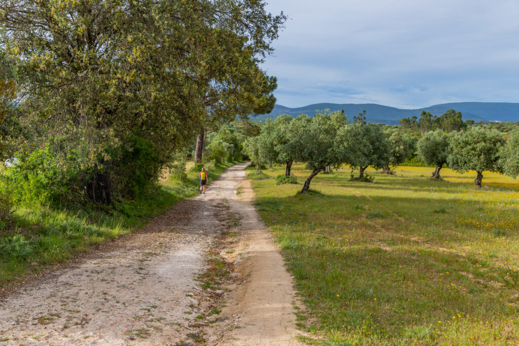 Pilgrim walk along the Camino De Santiago, the Way of St. James pilgrimage route, Navarra, Spain.