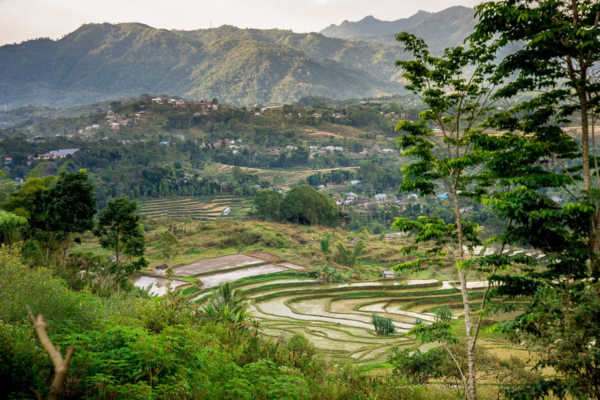 A landscape of rice fields, mountains and villages near Ruteng, Flores