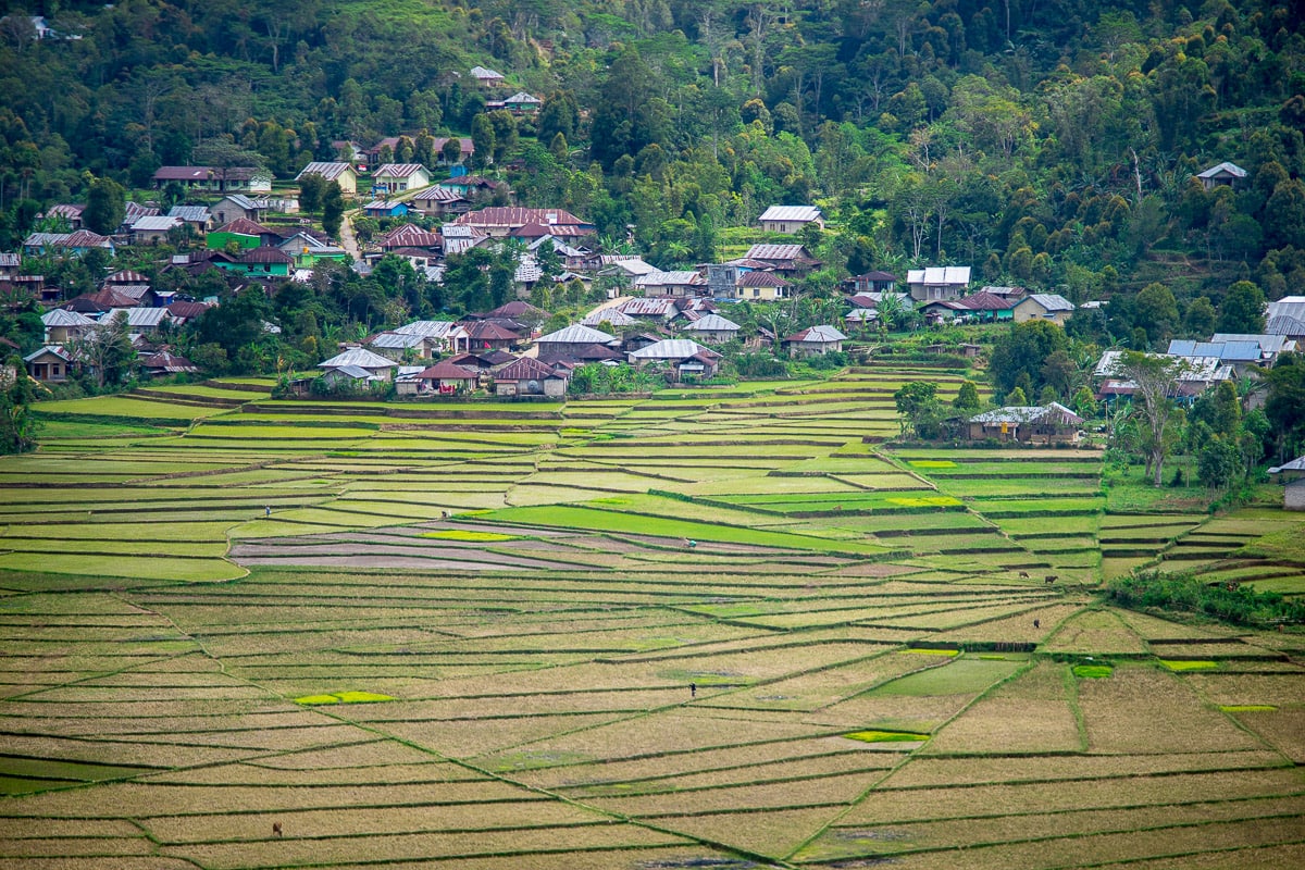 things to do in Ruteng, Flores